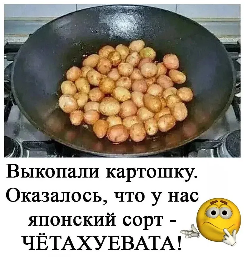 1791219366267.png