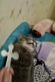 Без названия (1).jpg