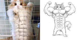 Без названия (1).jpg