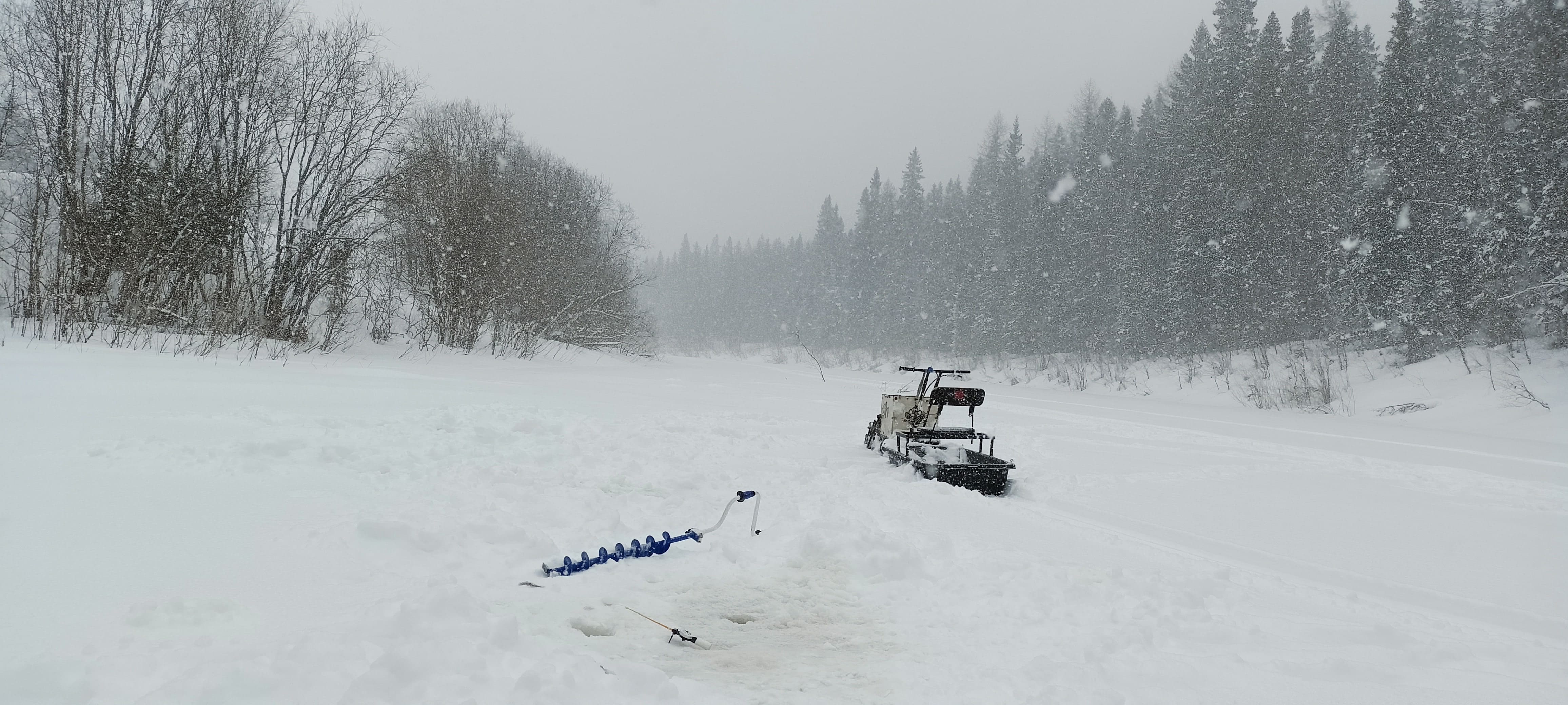 IMG20250411131234-min (1).jpg