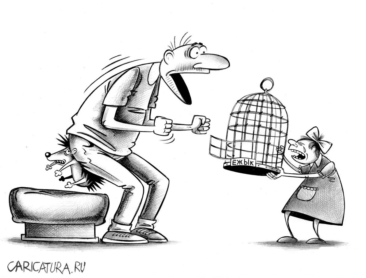 karikatura-ezhik_(sergey-korsun)_32849.jpg