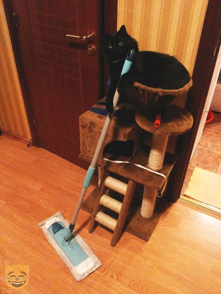 ÑÐ¾ÑÐ¾Ð¶Ð°Ð±Ð°