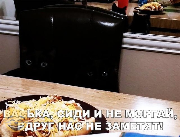 ÑÐ¾ÑÐ¾Ð¶Ð°Ð±Ð°